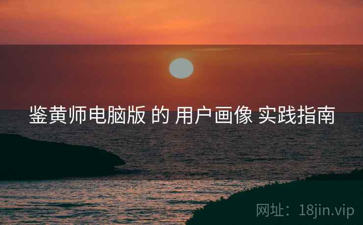 鉴黄师电脑版 的 用户画像 实践指南