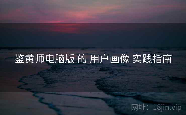 鉴黄师电脑版 的 用户画像 实践指南