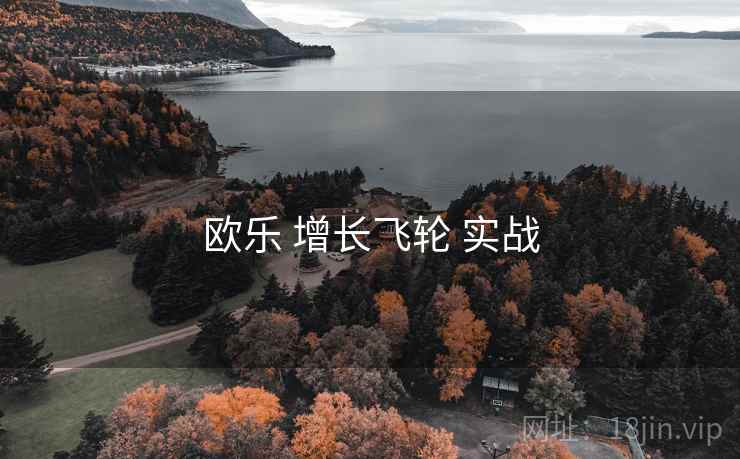 欧乐 增长飞轮 实战