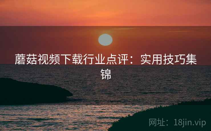 蘑菇视频下载行业点评：实用技巧集锦