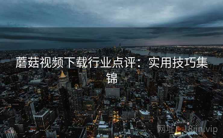 蘑菇视频下载行业点评：实用技巧集锦