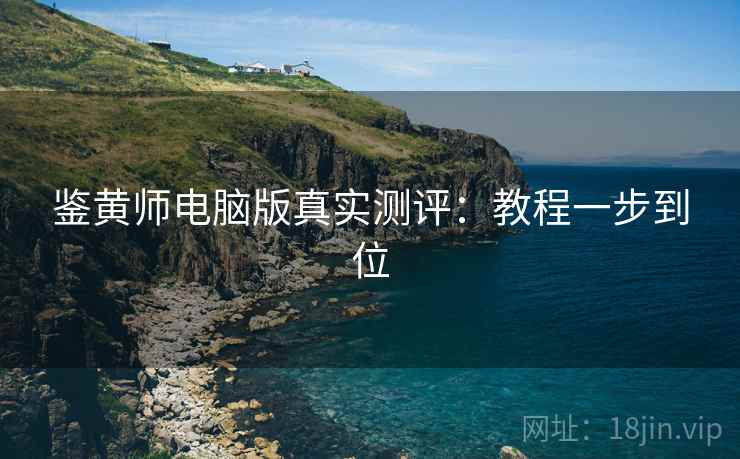 鉴黄师电脑版真实测评：教程一步到位