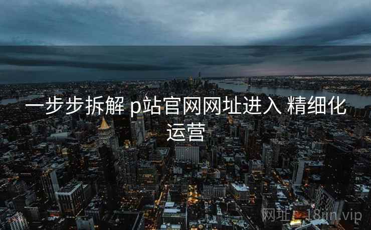 一步步拆解 p站官网网址进入 精细化运营