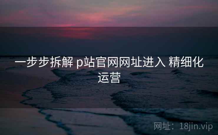 一步步拆解 p站官网网址进入 精细化运营