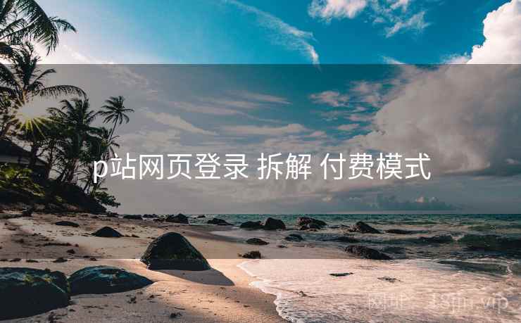 p站网页登录 拆解 付费模式