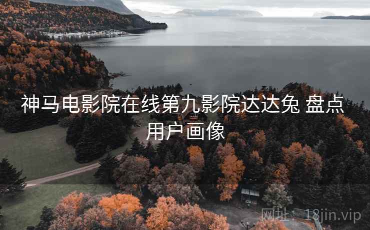 神马电影院在线第九影院达达兔 盘点 用户画像