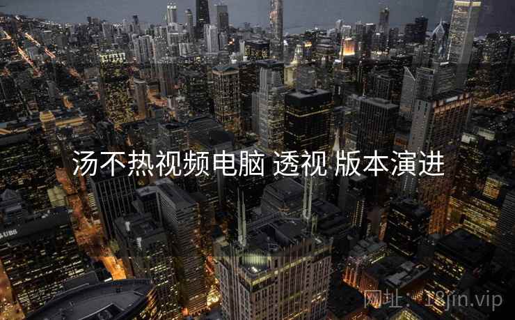 汤不热视频电脑 透视 版本演进