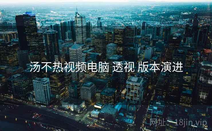 汤不热视频电脑 透视 版本演进