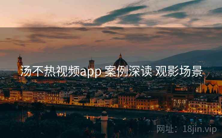 汤不热视频app 案例深读 观影场景