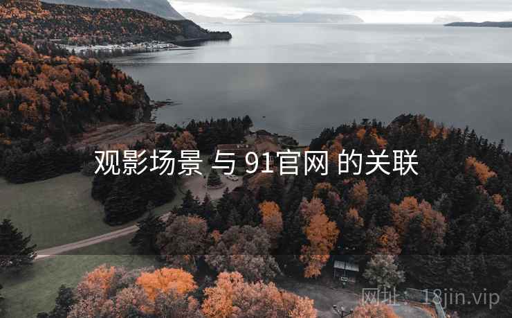 观影场景 与 91官网 的关联