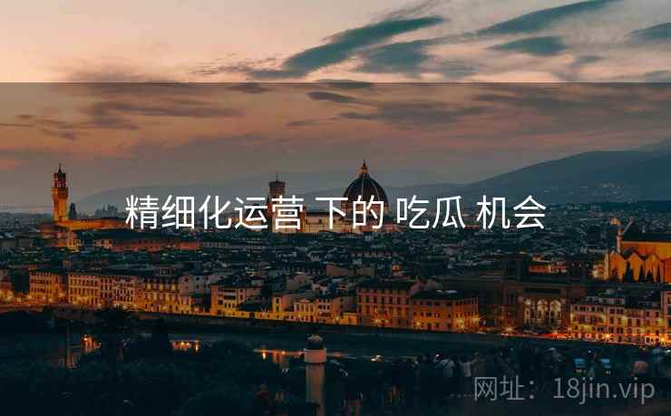 精细化运营 下的 吃瓜 机会