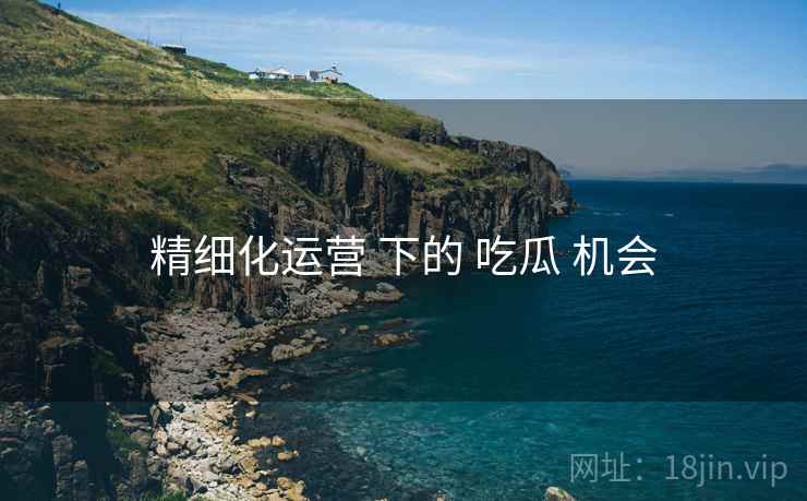 精细化运营 下的 吃瓜 机会