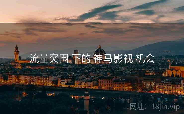 流量突围 下的 神马影视 机会