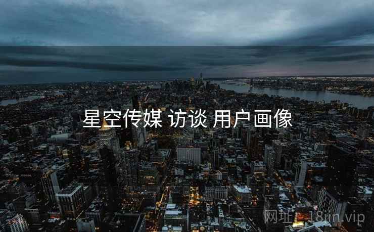 星空传媒 访谈 用户画像