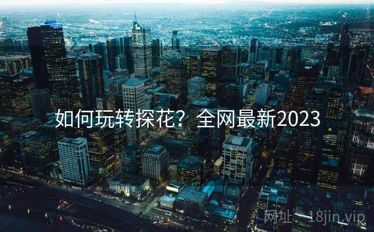如何玩转探花？全网最新2023