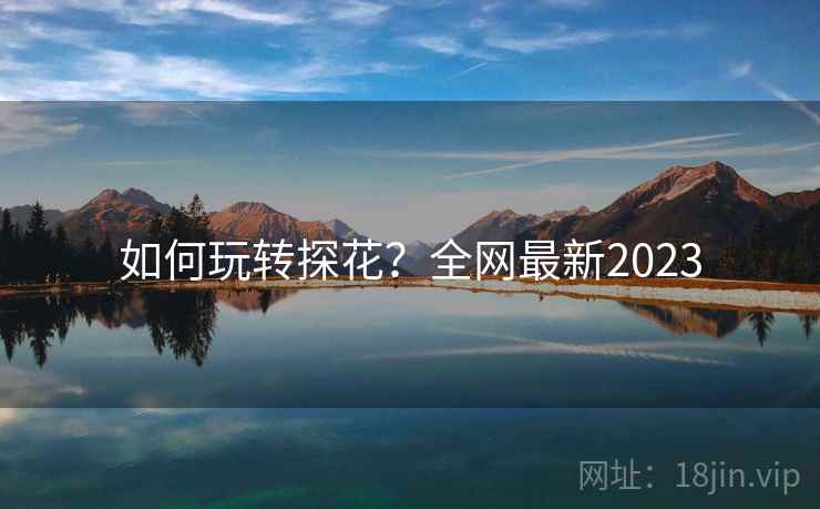 如何玩转探花？全网最新2023