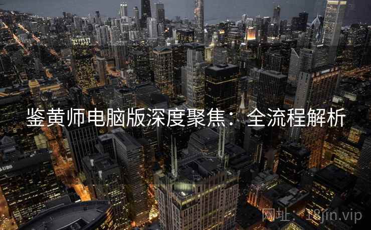 鉴黄师电脑版深度聚焦：全流程解析