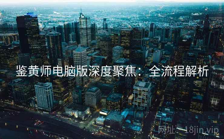 鉴黄师电脑版深度聚焦：全流程解析