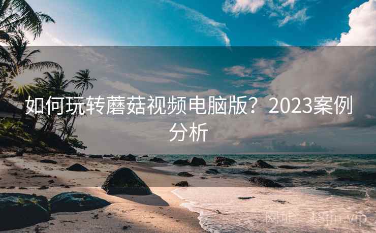 如何玩转蘑菇视频电脑版？2023案例分析