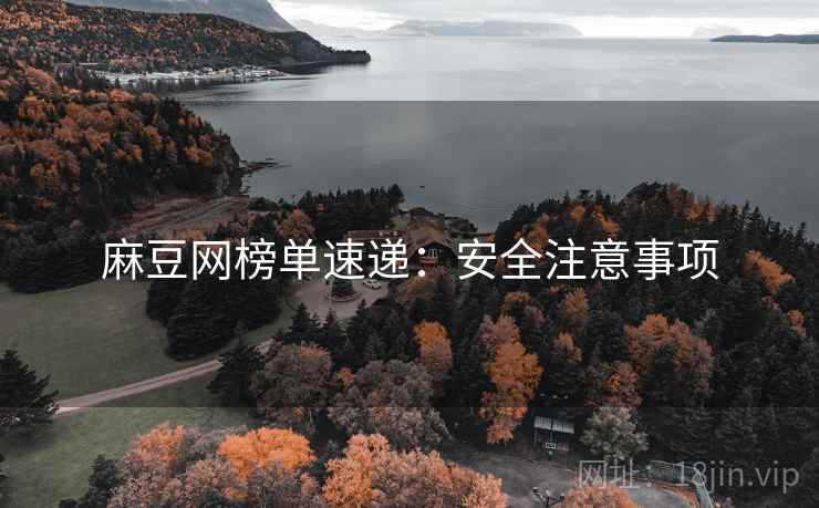 麻豆网榜单速递：安全注意事项
