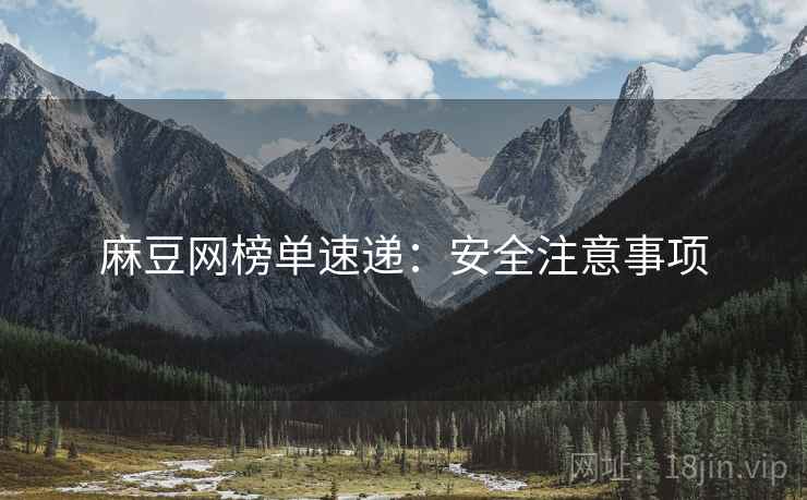 麻豆网榜单速递：安全注意事项