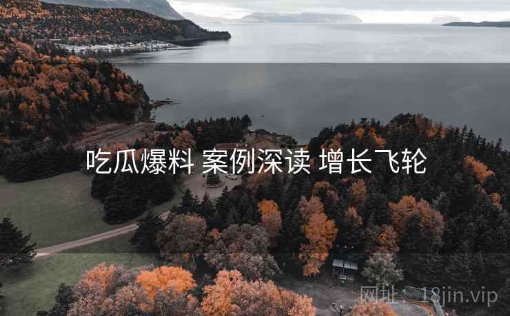 吃瓜爆料 案例深读 增长飞轮