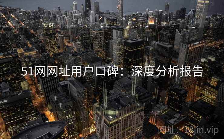 51网网址用户口碑：深度分析报告