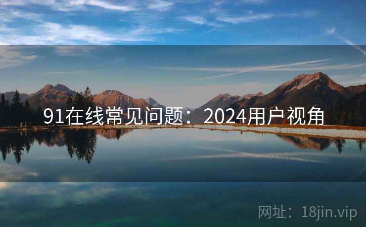 91在线常见问题：2024用户视角