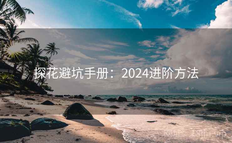探花避坑手册：2024进阶方法