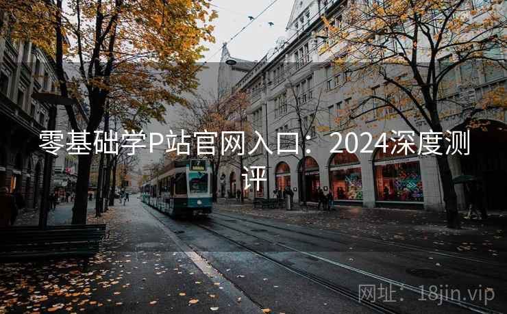 零基础学P站官网入口：2024深度测评