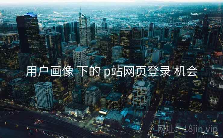 用户画像 下的 p站网页登录 机会