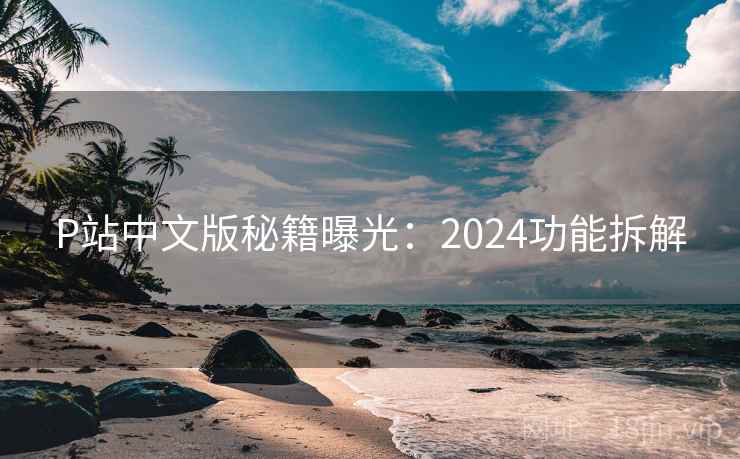 P站中文版秘籍曝光：2024功能拆解
