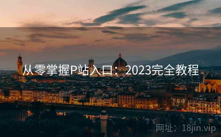 从零掌握P站入口：2023完全教程