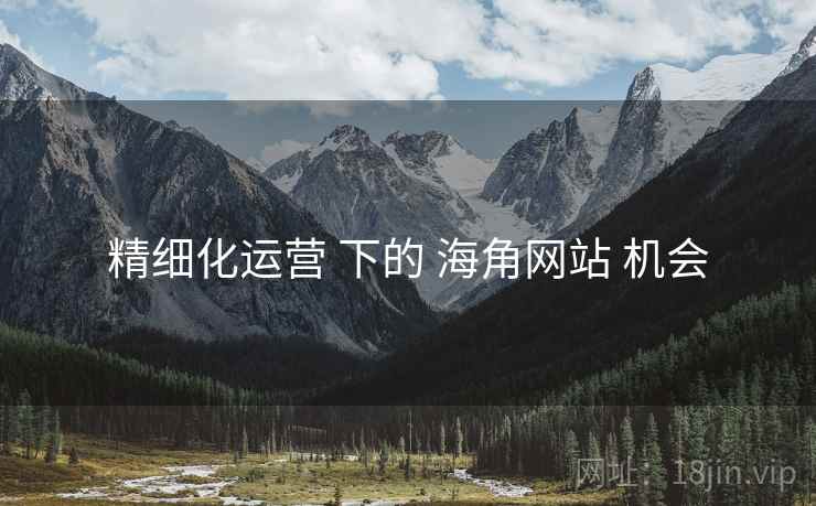 精细化运营 下的 海角网站 机会