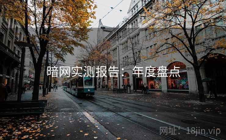 暗网实测报告：年度盘点