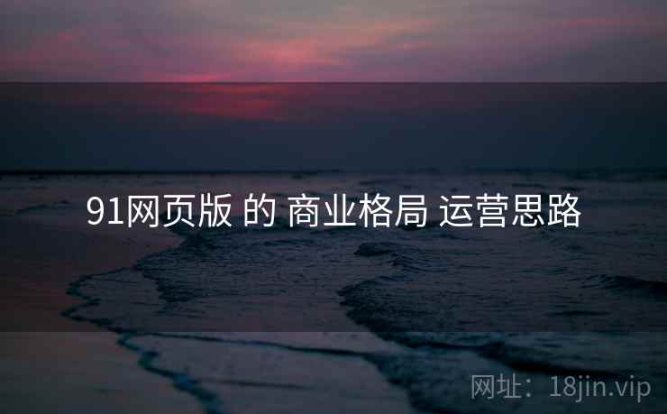 91网页版 的 商业格局 运营思路