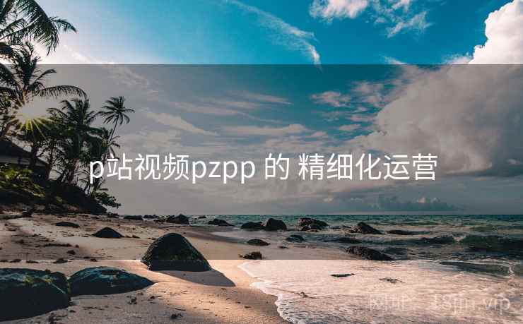 p站视频pzpp 的 精细化运营