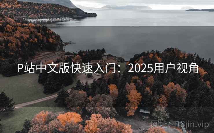 P站中文版快速入门：2025用户视角